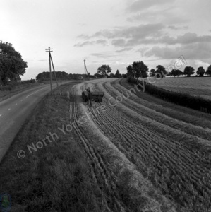 Harvesting, Barley, Spofforth